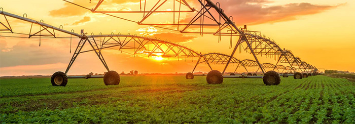 Agriculture farming at sunset