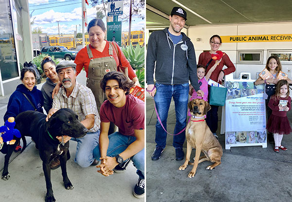 Brenix Credit Union Bank offers the community an opportunity to save the lives of loving animals through our 'Year of the Dog' Pet Adoption series.